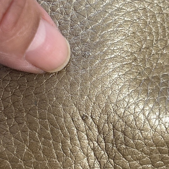 Brighton Crossbody Organizer Handbag - Picture 14 of 16